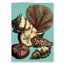 Suche nach rote koralle postkarten Algen