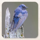 Suche nach samen untersetzer Natur