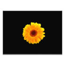 Suche nach calendula poster Gelb