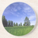 Suche nach pinus Natur