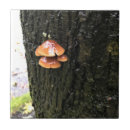 Suche nach pilze fliesen Herbst