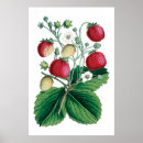 Suche nach vintage pflanze poster Rot