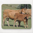 Suche nach kalb mousepads Bauernhof