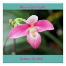 Suche nach orchideen blume kunst Tropisch