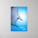 Suche nach unterwasser leinwandbilder Ozean