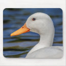 Suche nach weiße enten mousepads Wasser