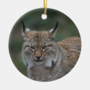 Suche nach ohren ornamente Katze