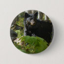 Suche nach wald buttons Tierwelt