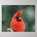Suche nach schn kunst Winter