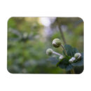 Suche nach gardens magnete Blumenreich