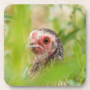 Suche nach vieh untersetzer Huhn