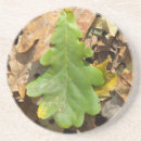 Suche nach eichenblatt untersetzer Herbst