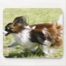 Suche nach sein aktiv mousepads Glück