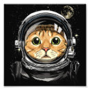 Suche nach kitty poster Sterne
