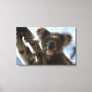 Suche nach von australien leinwandbilder Horizontal