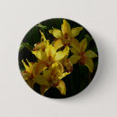 Suche nach orchidee buttons Natur