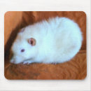 Suche nach weiße ratte mousepads Ratten