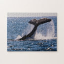 Suche nach schwanz puzzle Wild lebende tiere