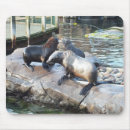 Suche nach gruppe mousepads Meer
