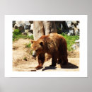 Suche nach tierschutz poster Natur