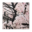 Suche nach kirschblüte fliesen Baum