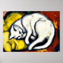 Suche nach große katzen poster Weiße katze