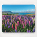 Suche nach neuseeland mousepads Wiese