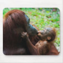 Suche nach orang utan mousepads Menschenaffe