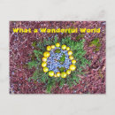 Suche nach wacholder poster Natur