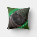 Suche nach koala kissen Grün