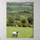 Suche nach dingle poster Irish