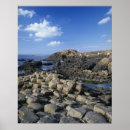 Suche nach gigant poster Natur