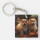 Suche nach pumpe schlüsselanhänger Herbst