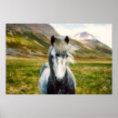 Suche nach graue pferde poster Wild