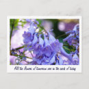 Suche nach jacaranda poster Blüten