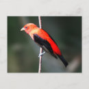 Suche nach flair poster Natur