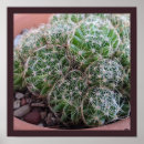 Suche nach schöne natur poster Fotografie