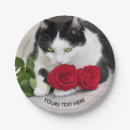Suche nach schwarze katze teller Süß