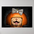 Suche nach perücke poster Tiere