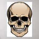 Suche nach human poster Skull