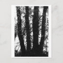 Suche nach rettet die bäume poster Wald