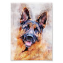 Suche nach german shepherd poster Aquarell