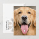 Suche nach pille postkarten Hund