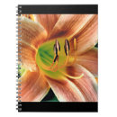 Suche nach taglilie Orangefarbene blume