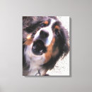 Suche nach border collie leinwandbilder Tiere