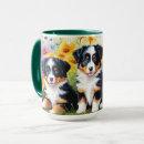 Suche nach australian shepherd tassen Welpe