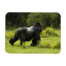 Suche nach mcdonalds magnete Pflanzenfresser