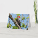 Suche nach ornithologist Bird lover