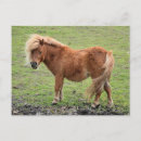 Suche nach niedlich tier fotos postkarten Tiere