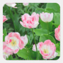 Suche nach rosa tulpen aufkleber Für sie/ihn